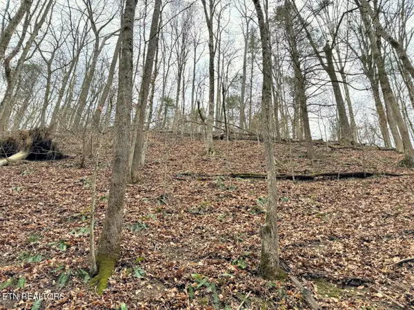 520 Jonny Carrier Hollow Rd, Bluff City, TN 37618