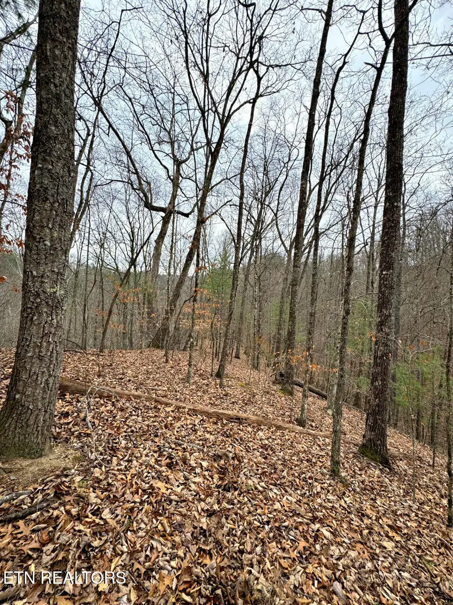 520 Jonny Carrier Hollow Rd, Bluff City, TN 37618 - #3