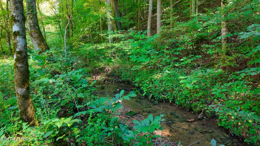 Lot 2 Conner Rd, Powell, TN 37849 - #3