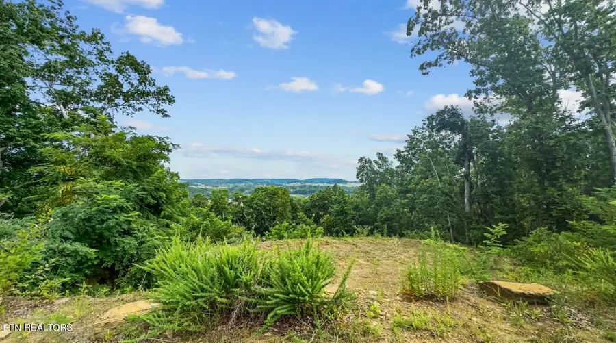 2345 Paradise Way, Sevierville, TN 37876 - #2