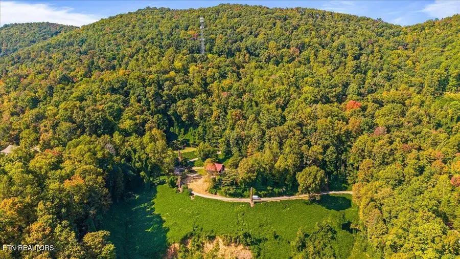 342 Big Springs Lane, Jacksboro, TN 37757 - #2