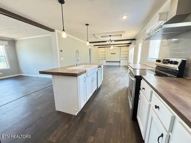 133 Woods Hollow Rd, Decatur, TN 37322 - #3
