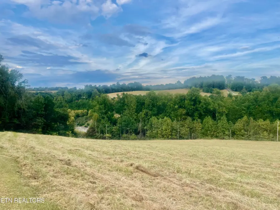 Freeman Rd, Tazewell, TN 37879 - #2