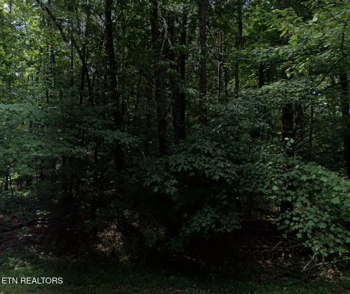 70 Calderwood Circle, Crossville, TN 38558 - #1