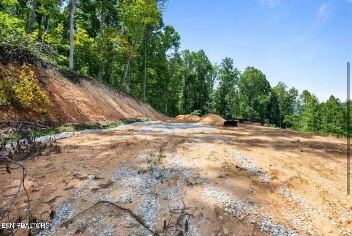 353 Walden Ridge Lane, Caryville, TN 37714 - #1