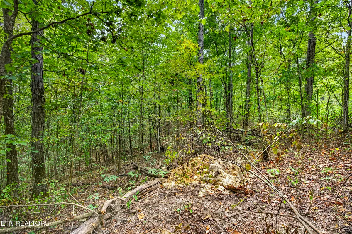 Lot 20,23& 24 Timber Ridge Lane, Celina, TN 38551 - #1