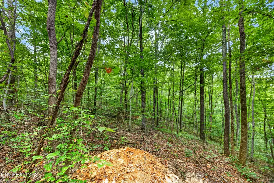 Lot 25&26 Timber Ridge Lane, Celina, TN 38551 - #2