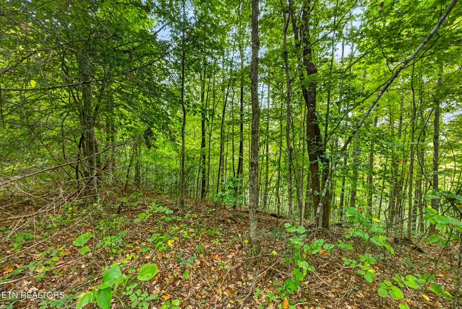 Lot 30&31 Timber Ridge Lane, Celina, TN 38551 - #2
