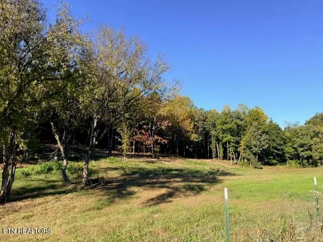 Salem Rd Lot #10, Parrottsville, TN 37843 - #1