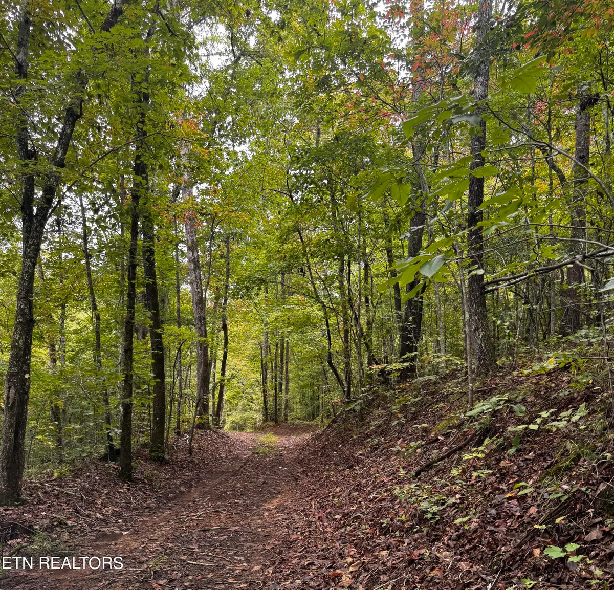 Decatur Hwy, Kingston, TN 37763 - #1