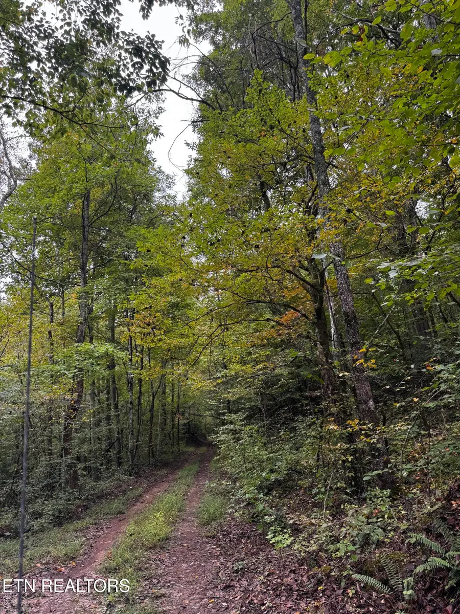 Decatur Hwy, Kingston, TN 37763 - #2