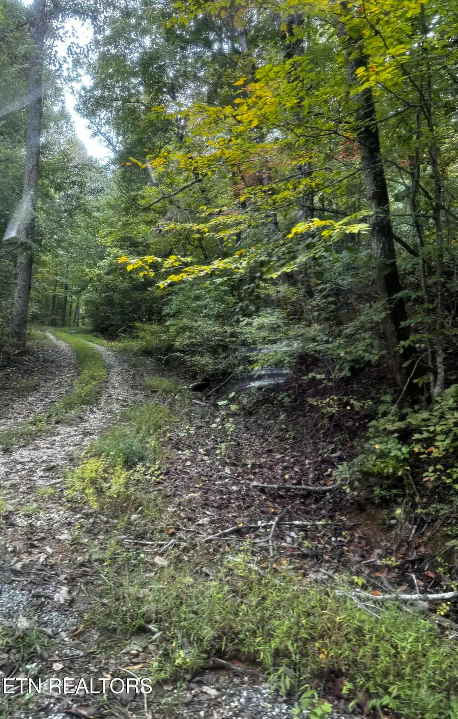 Decatur Hwy, Kingston, TN 37763 - #3