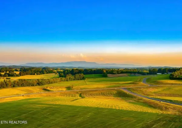 Lot 27 Vista Ridge Drive, White Pine, TN 37890