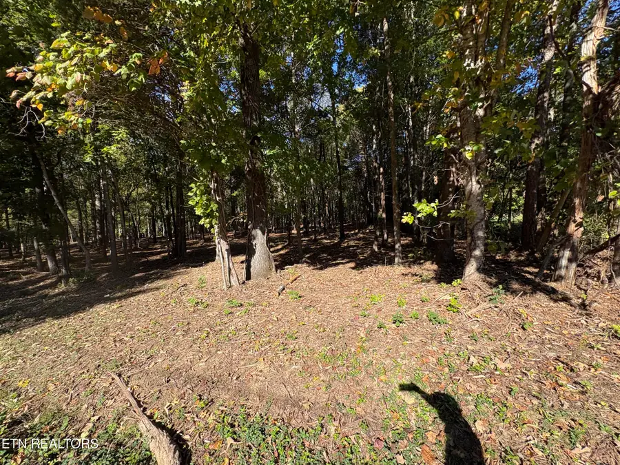 0 Town Creek Rd, Lenoir City, TN 37772 - #3