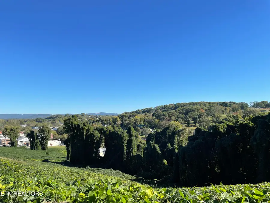 Lot 69 N Henry St, Morristown, TN 37814 - #3
