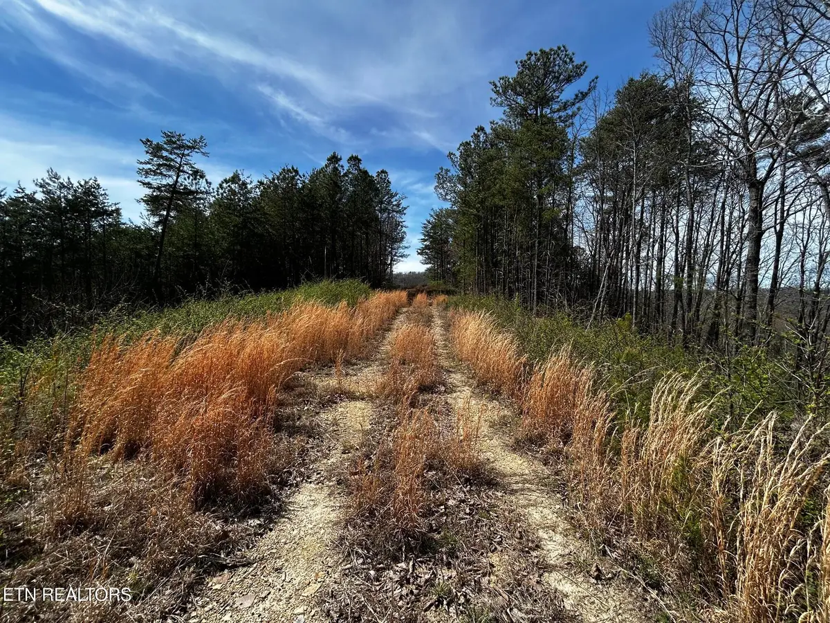Tract 2 SW Owl Hollow, McDonald, TN 37353 - #1