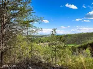 Tract 6 SW Owl Hollow, McDonald, TN 37353