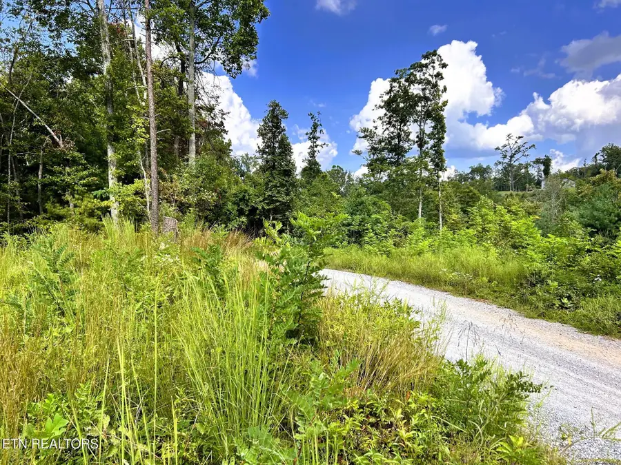125 Chestnut Mountain Rd, Reliance, TN 37369 - #2