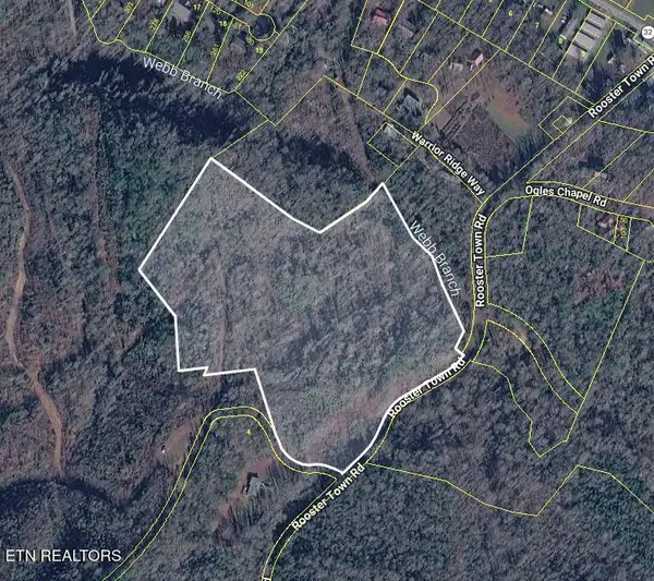 Rooster Town Rd, Cosby, TN 37722