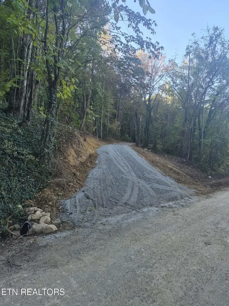 177 Martin Rd, Tellico Plains, TN 37385 - #2