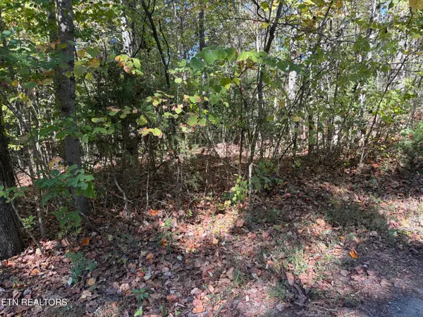Lot 222 Jade Lane, New Tazewell, TN 37825