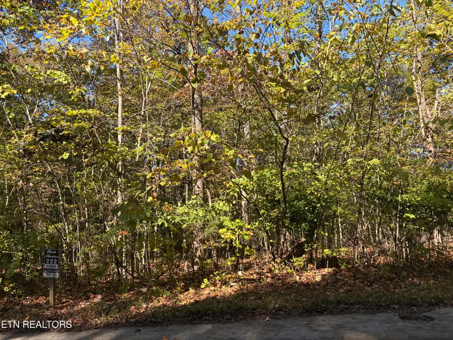 Lot 222 Jade Lane, New Tazewell, TN 37825 - #2