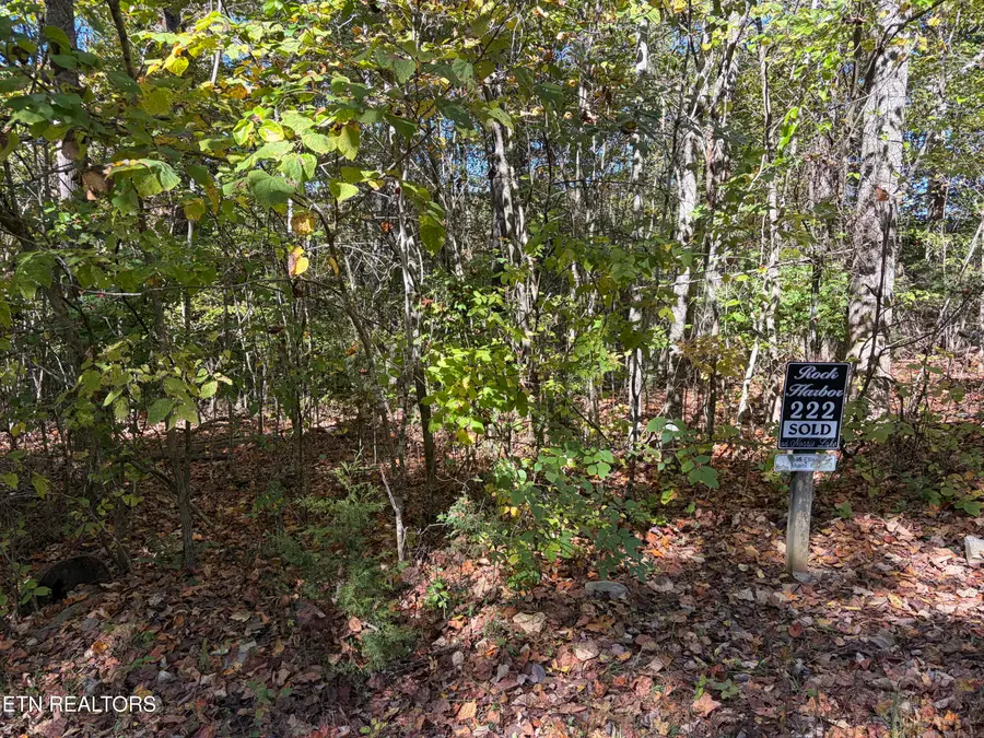 Lot 222 Jade Lane, New Tazewell, TN 37825 - #3