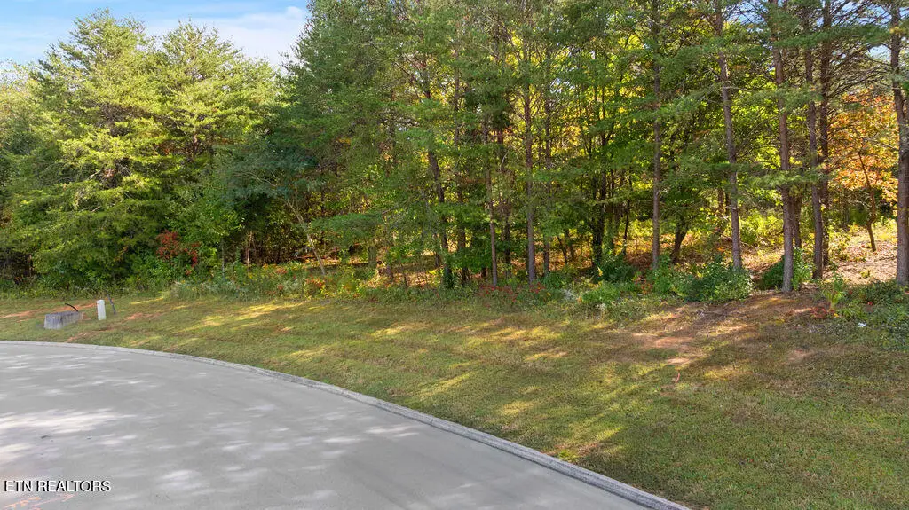 Red Wing Drive, Vonore, TN 37885 - #1