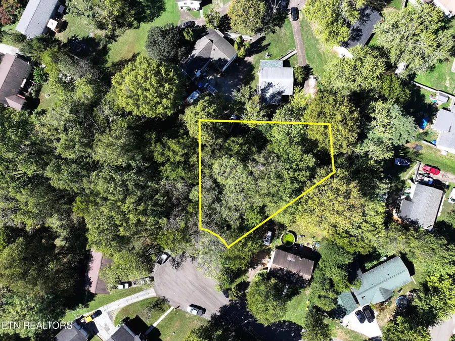 3111 Sycamore View Court, Knoxville, TN 37921 - #2