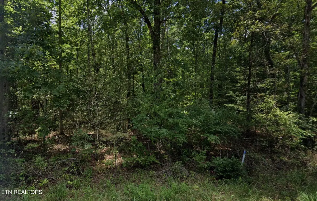 9014 Mineola Tr, Crossville, TN 38572 - #1