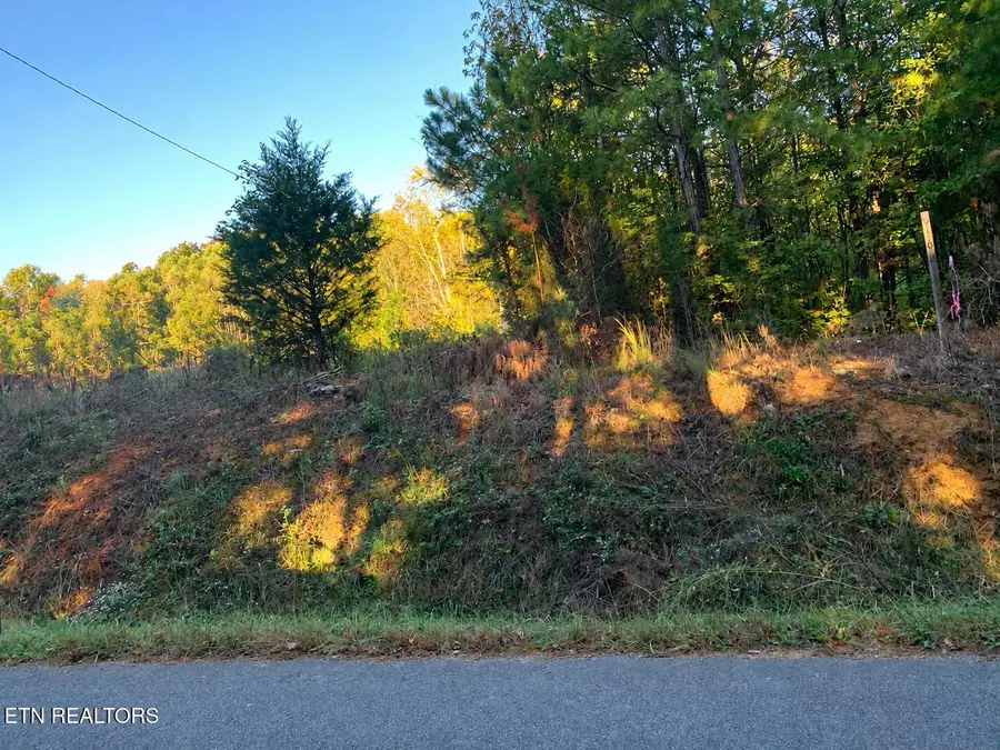 County Road 754, Riceville, TN 37370 - #2