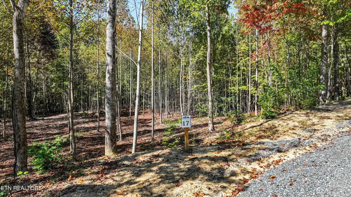 11.3 Acres Smoky Mountain Overlook #Lot 17, Cosby, TN 37722 - #1