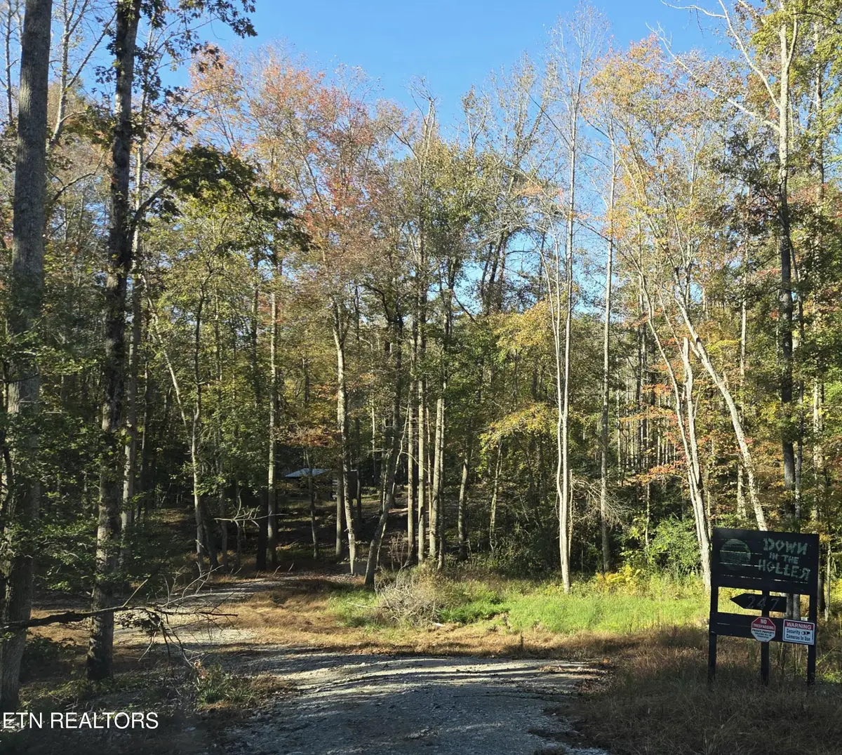 247 Copperhead Rd, Oakdale, TN 37829 - #1