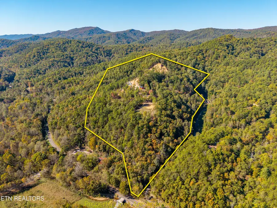 Patty View Way, Sevierville, TN 37862 - #2