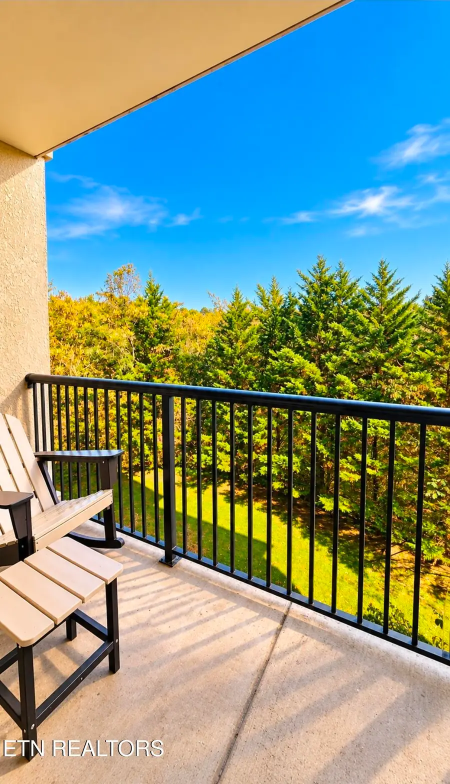 124 Plaza Drive #UNIT 5406, Pigeon Forge, TN 37863 - #3