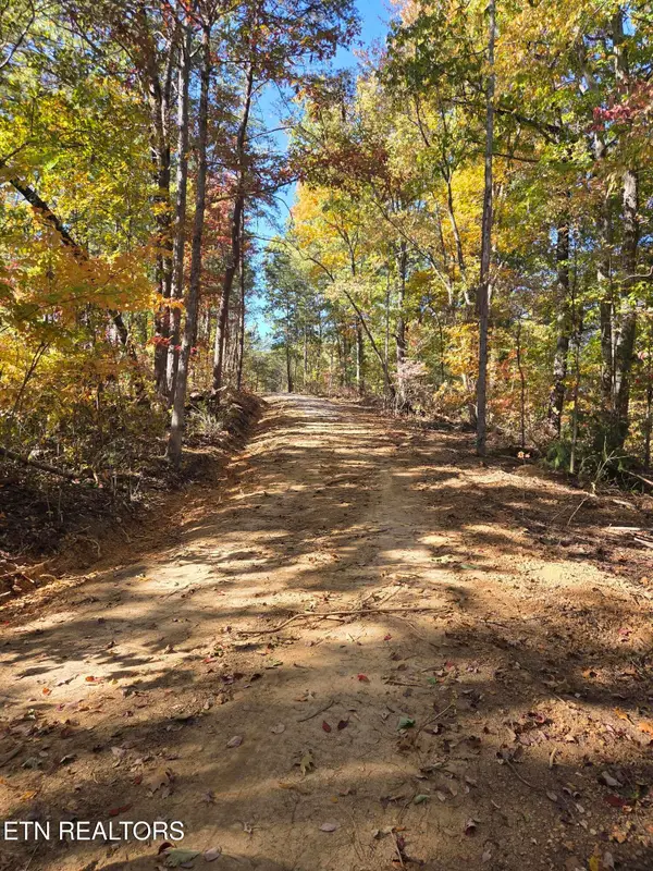 1211 Sourwood Honey Drive, Sevierville, TN 37876