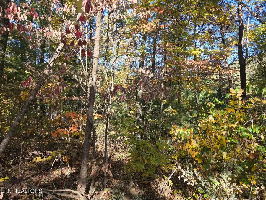 1211 Sourwood Honey Drive, Sevierville, TN 37876 - #3