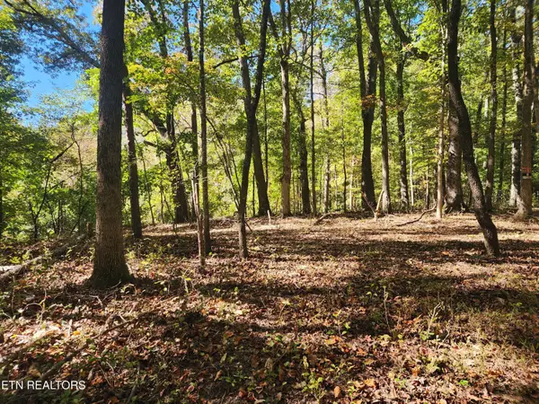 S Chamberlain Ave, Rockwood, TN 37854