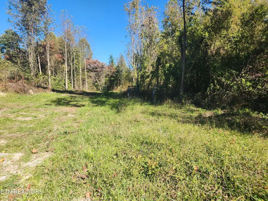 S Chamberlain Ave, Rockwood, TN 37854 - #2