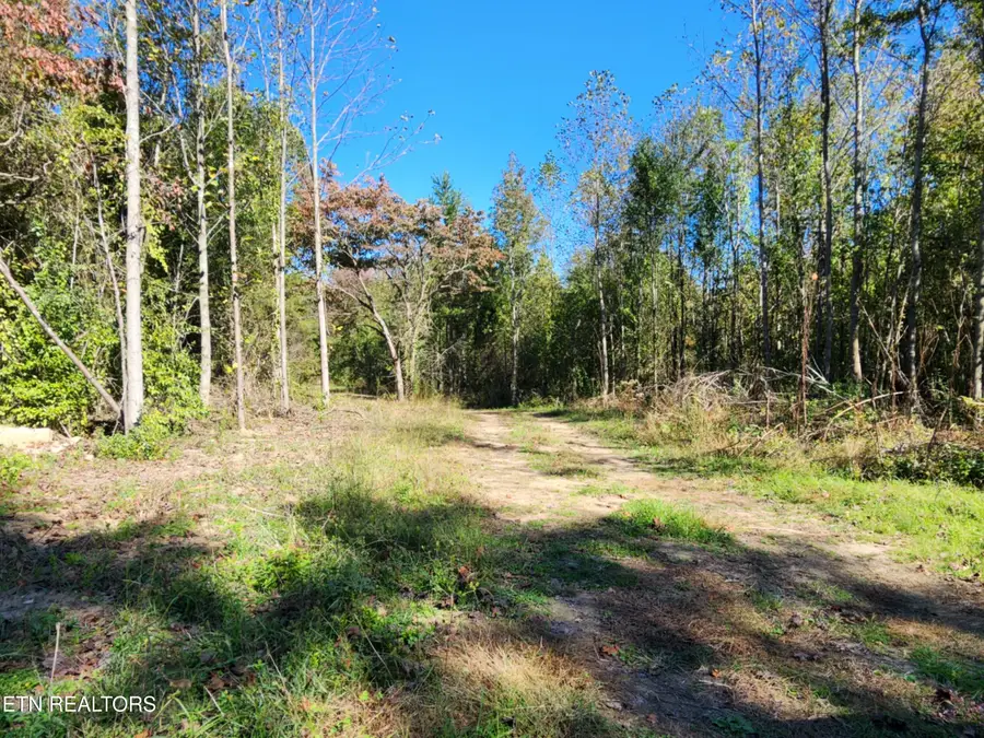 S Chamberlain Ave, Rockwood, TN 37854 - #3
