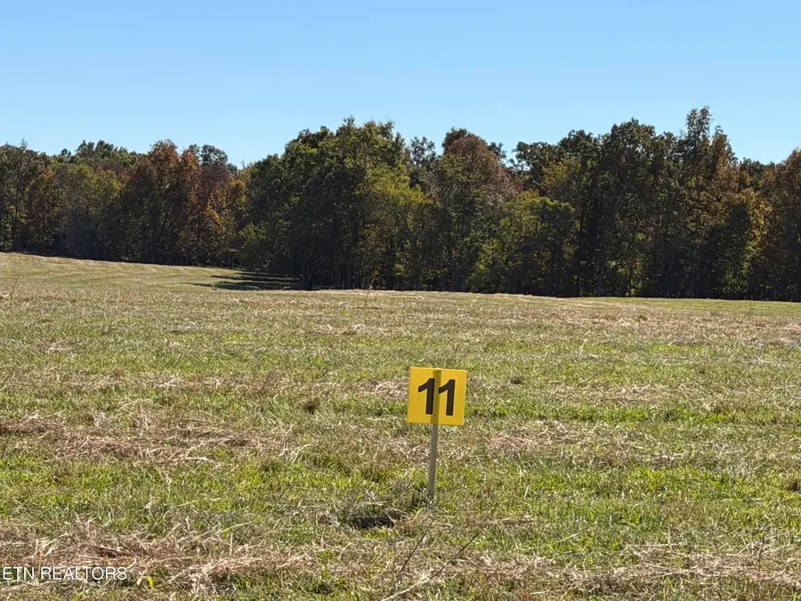 Poke Patch Rd, Crossville, TN 38572 - #3