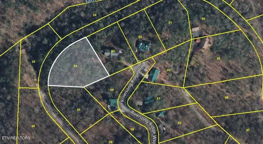 Riversong Ridge Way, Sevierville, TN 37876 - #3