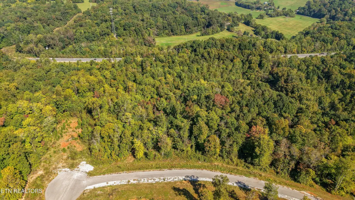 135 Canter Way, Lenoir City, TN 37771 - #1