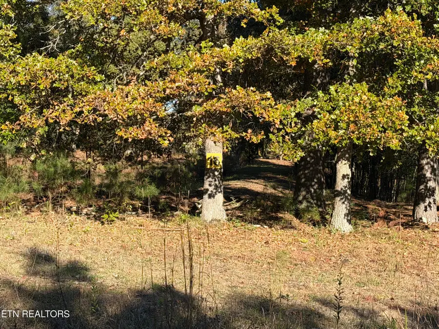 Poke Patch Rd, Crossville, TN 38572 - #3