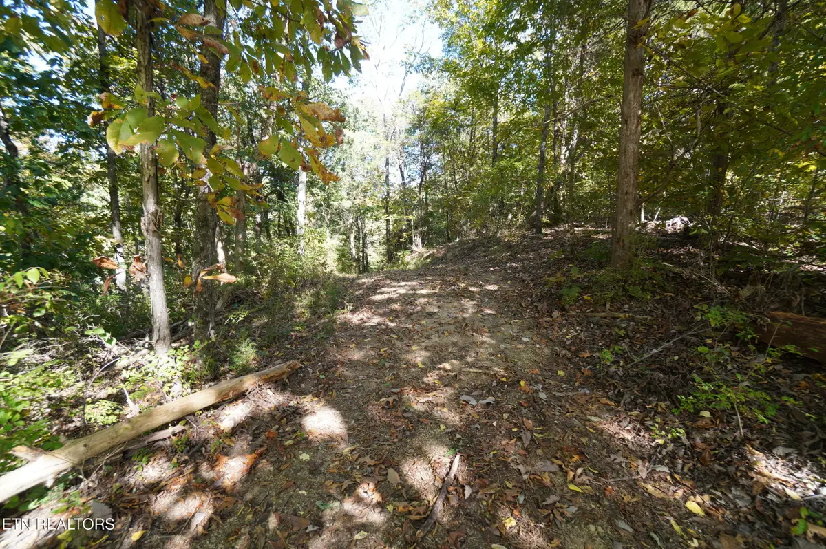 Brotherton Rd, Jefferson City, TN 37760 - #1
