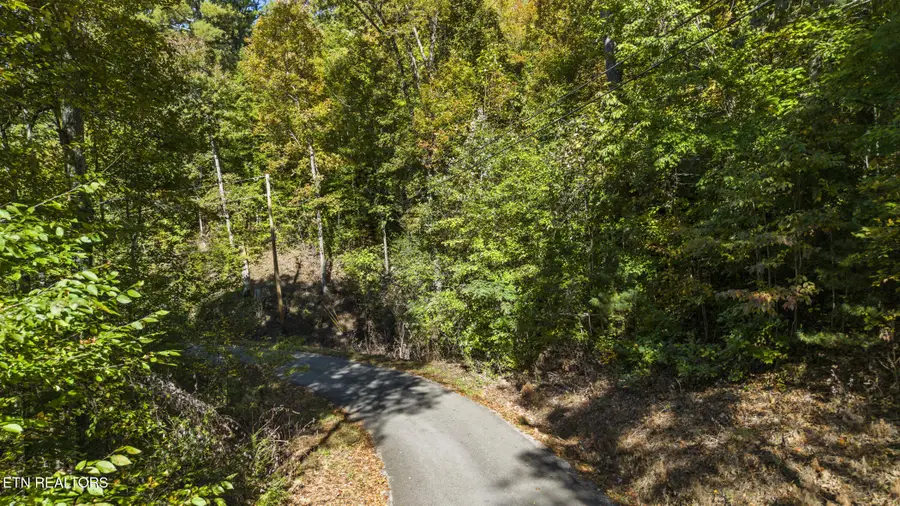 S King Branch Rd, Sevierville, TN 37876 - #2