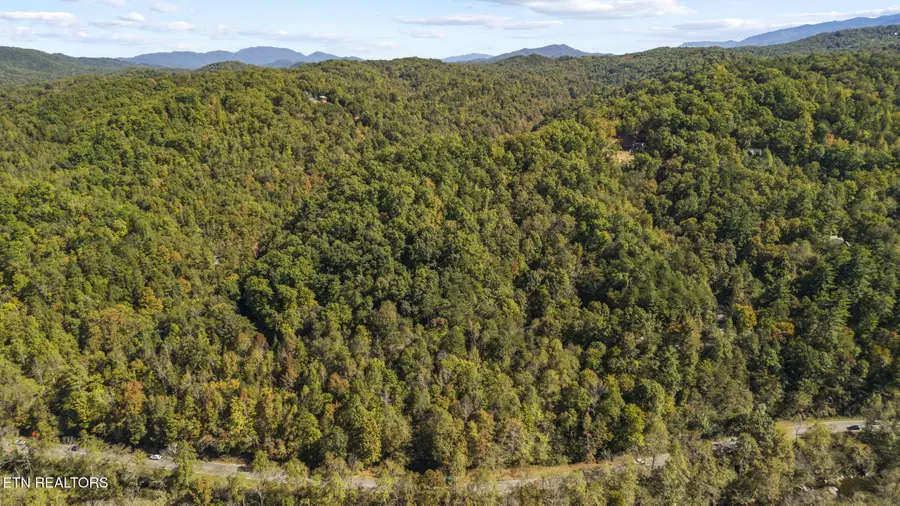S King Branch Rd, Sevierville, TN 37876 - #3