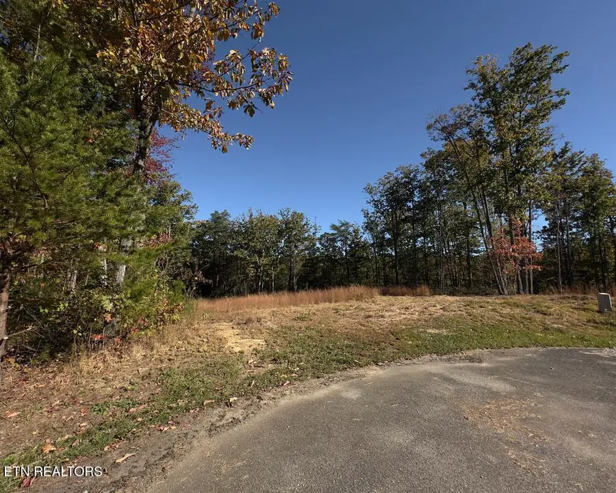 117 Fox Run Court, Monterey, TN 38574 - #3
