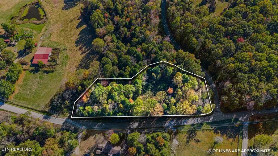 1616 Frank Campbell Rd, Jamestown, TN 38556 - #2