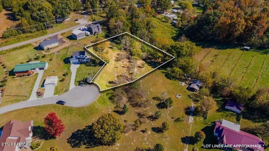 Earnhardt Lane, Lafollette, TN 37766 - #2